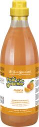 Iv San Bernard Sampon Iv San Bernard Orange, pentru caini si pisici, 1000ml