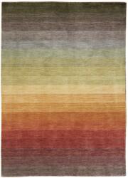 Rezas Színes Gyapjú Szőnyeg 240x170 cm