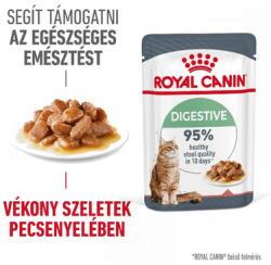 Royal Canin DIGESTIVE CARE GRAVY - szószos nedves táp érzékeny emészétsű felnőtt macskák részére 48x85 g