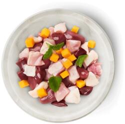 Terra Faelis Kitten Chicken 70 g