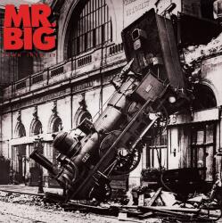 Mr Big - Lean Into It (30th Anniversary Edition) (180g) (LP) (4895241412509)