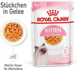 Royal Canin Kitten nedvestáp zselében 12x85 g - 1.020 g