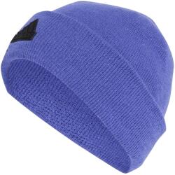 adidas Шапка Adidas Tech Beanie Adults - Colbalt Blue