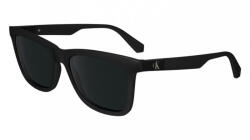 Calvin Klein CKJ24601S 001 (CKJ24601S 001) - glasses