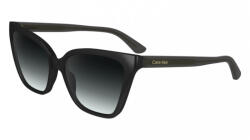 Calvin Klein CK24507S 001 (CK24507S 001)