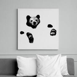 printfashion Maci a vízben - Vászonkép - Fehér (17812419)