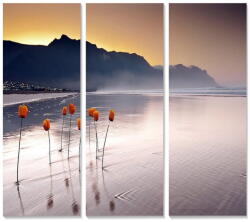 Wallity Kép szett 3 db-os 20x50 cm - Wallity - bonami - 4 000 Ft