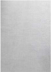 Ayyildiz Carpets Világosszürke mosható szőnyeg 80x150 cm Sky - Ayyildiz Carpets