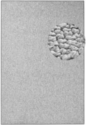 Hanse Home Szürke szőnyeg 160x240 cm Wolly - BT Carpet