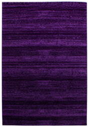 Ayyildiz Sötétlila szőnyeg 160x230 cm Plus - Ayyildiz Carpets