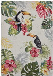 Hanse Home Kültéri szőnyeg 240x340 cm Flair - Hanse Home