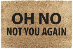 Artsy Mats Kókuszrost lábtörlő 40x60 cm Not You Again - Artsy Doormats
