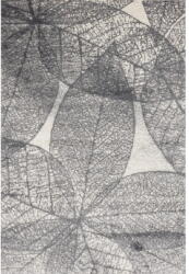 FD Szürke szőnyeg 160x230 cm Lush - FD