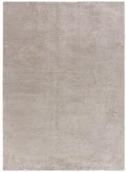 Universal Világosszürke szőnyeg 160x230 cm Loft - Universal