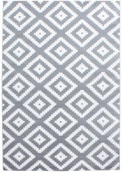 Ayyildiz Carpets Világosszürke szőnyeg 80x150 cm Plus - Ayyildiz Carpets