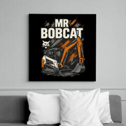 printfashion Mr Bobcat - Vászonkép - Fekete (17765482)