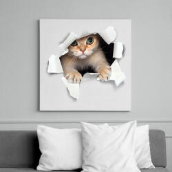 printfashion Cica kitőr - Vászonkép - Fehér (17780463)