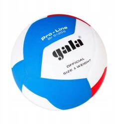 Gala Röplabda labda, Pro Line 10 Bv 5125S, Size 5 (4415)