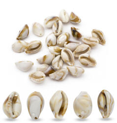 Mixform Akril gyöngyök, Kő utánzat, Cowrie kagyló, 19.5x12x10mm, 25g ~25db (13WB24882)