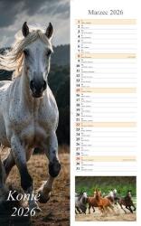 Radwan Naptár 2026 Fali Csík Lovak (5906667514353)