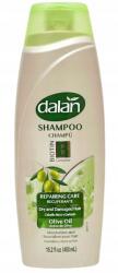 Dalan HajJAVÍTÓ sampon olívaolajjal Biotin Complex 450ml (szampon z oliwą z oliwek)