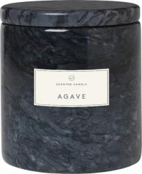 blomus Frable Agave 10 cm