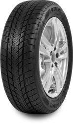 Davanti Wintoura 185/55 R15 86H XL - bhpgumi