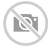 Sebring Cargospeed Evo 235/65 R16C 115/113S kisteher