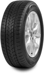 Davanti Wintoura SUV 275/40 R20 106V XL - gumiflex