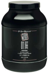 Iv San Bernard Sampon Iv San Bernard Black Passion 01, pentru caini si pisici, 3000ml