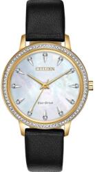 Citizen Eco-Drive FE7042-07D (FE7042-07D)