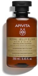 APIVITA ROYAL JELLY ELIXIR - Haj és fejbőr revitalizáló sampon 250ml