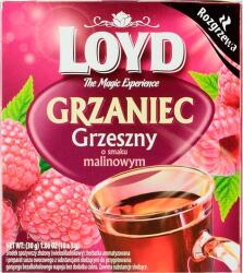 LOYD Grog Tea Málna 10x3g (3102213) (3102213)
