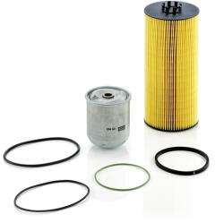 Mann-filter Set filtre ulei Mann-Filter SP2041-2X