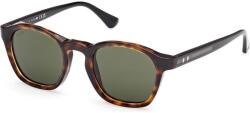 Web Eyewear WE0384 55N (WE0384 55N) Слънчеви очила