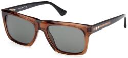 Web Eyewear WE0367 50D (WE0367 50D) Слънчеви очила