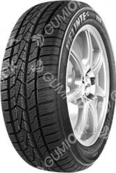 Delinte Aw5 185/60 R14 82h Tl M+s 3pmsf