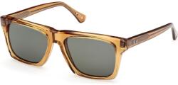 Web Eyewear WE0382 39N (WE0382 39N) Слънчеви очила