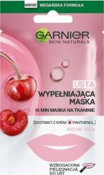 Garnier Lips Replumping Tissue Mask with cherry and panthenol 5 g (129248) (129248)