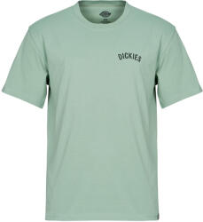 Dickies Tricouri mânecă scurtă Bărbați DICKIES SNAKE SS TEE Dickies verde EU L