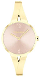 Calvin Klein női óra CK25100027 - CK25100027 (CK25100027)
