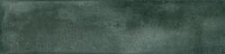 Durstone Gresie tip decor Durstone Imagine Green Portelanata Mata 6x25 cm