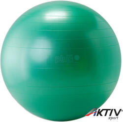 Gymnic Gimnasztikai labda 55 cm (8) - aktivsport