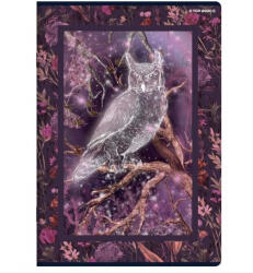 Herlitz Fairy Tail Story füzet, Bagoly, vonalas (A5/60 lap) (H_2025__400182441_b)