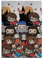  Harry Potter Spellbound polár takaró 100x140cm (AYM989539)