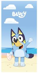  Bluey Ocean fürdőlepedő, strand törölköző 70x140cm (Fast Dry) (FML358923) - sandori