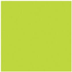  Kivi zöld Maki szalvéta 20 db-os 33x33 cm (PKK010871) - sandori