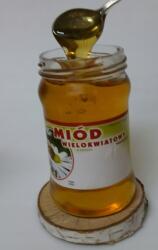 Pasieka Rodzinna Többvirágú Méz 2024 Friss Közvetlenül Centrifugából Természetes Lengyel Méz