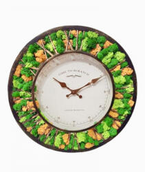 Eventissimi® Aranjament floral, Ceas cu licheni, Verde si Portocaliu, Eventissimi, 40 cm (TL-015) Ceas