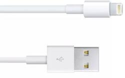  Cablu iPhone iPad 3 mini iPad iPod Touch 1m (034-005)